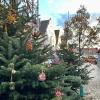Der Aichacher Weihnachtsmarkt und die geschmückten Tannen bringen Weihnachtsstimmung in die Stadt.