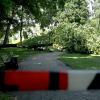 Im Juli hatte ein Baum auf einem Spielplatz in Oberhausen ein kleines Mädchen erschlagen, die Mutter wurde schwer verletzt. Inzwischen ist das Gutachten zu dem Baum fertig.