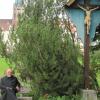 Pater Claudius Bals hat sich auf der Sitzbank an der vierten Station des Friedenswegs in St. Ottilien niedergelassen, hinter ihm sieht man das Kloster. 