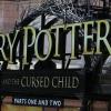 "Harry Potter and the Cursed Child" feiert im Juli seine Premiere. Um die farbige Darstellerin der Hermine gibt es schon jetzt Diskussionen.