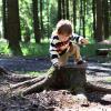 Die Planungen für einen Waldkindergarten in Gersthofen laufen seit geraumer Zeit. Jetzt gibt es Neuigkeiten. 