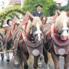 200 herausgeputzte Pferde werden am 6. November durch die Straßen von Inchenhofen ziehen. Auf den Festwagen wird das Leben des Heiligen Leonhard dargestellt. 