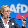 Alice Weidel (AfD) will eigene, alternative Medienkanäle für die Partei.