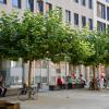 Diese Bäume am Martin-Luther-Platz wurden im Zuge der Fußgängerzonen-Sanierung gepflanzt. Sie sollen für Kühlung im Sommer sorgen. Doch nicht überall sind Pflanzungen möglich.