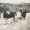 Schmalzbettler Fahrt über die Kammelbrücke, Foto ist entstanden beim ersten Faschingsumzug 1949 in Unterknöringen.