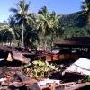 Tsunamis bedrohen vor allem Pazifikküsten
