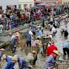 Am morgigen Samstag findet der Fischertag in Memmingen statt. Am heutigen „Vorabend“ stimmen sich die Besucher und Teilnehmer darauf ein.