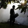 Ein Arbeiter in Indonesien sprüht mit Pestiziden, um die Ausbreitung des Zika-Virus durch Moskitos zu verhindern.