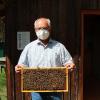 Karl-Heinz Waldmüller, Vorsitzender des Imkervereins Friedberg, kennt sich mit Bienen bestens aus.