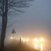 Gefährlicher Nebel: Erhöhte Unfallrate im Herbst