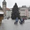 Am Hauptplatz in Landsberg wird es auch in diesem Jahr einen Christbaum geben.