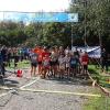 Bei bestem Wetter starteten am Sonntag viele kleine und große Läufer beim Meringer Marktlauf des TVM.