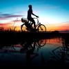 Die Tour der Deutschen Friedensgesellschaft führt die Radfahrer unter anderem durch Neuburg und Ingolstadt.