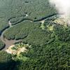 Das Amazonasgebiet um Manaus in Brasilien. Vor allem Aktivisten, die sich gegen die Agrarindustrie, Bergbau und Holzfällerei einsetzen, leben gefährlich.