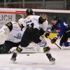 Eishockey: Die Bilder vom Testspiel der Landsberg Riverkings gegen den Nachbarn Schongau Mammuts. Das Spiel endet 7:5.