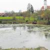 Der Dorfweiher soll in den nächsten Jahren saniert werden. Das Thema brachte Gemeinderat Reinhold Seefelder in einer früheren Sitzung ein.  