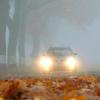 Im Herbst ist Nebel eine häufige Gefahr für Autofahrer.