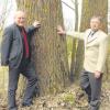 Bürgermeister Tomas Zinnecker (links) gratulierte dem Baumschul-Pionier zum 80. Geburtstag. 