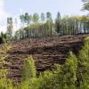 Hitze und Trockenheit – Klimaschutz wird existenziell. Die Kärnerarbeit überlässt die Große Koalition der nächsten Regierung.