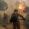 Feuerwehrleute bekämpften einen Waldbrand in der Nähe von Athen. Bewohner mussten evakuiert werden.