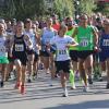 Am 12. Mai starten Bayerns schnellste Zehn-Kilometer-Spezialisten beim Aichacher Straßenlauf. 	