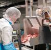 Mit den Fleischfabriken gehen die Grünen hart ins Gericht. Künftig soll es mehr kleinere Betriebe geben. 