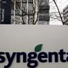 EU vor Zulassung für Syngenta-Genmais