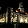 Das Schloss Höchstädt strahlt jede Nacht in weichem Licht. Doch ein Gesetz sieht vor, dass es nicht mehr die ganze Nacht beleuchtet werden darf. 	