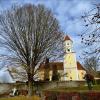 Die 80 Jahre alte Hainbuche dominiert den Friedhof an der Kirche Mariä Geburt in Altenstadt.