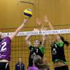 Friedbergs Volleyball-Damen (schwarz-grün) gewannen gegen Sonthofen II 3:0.