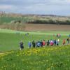 Die Nordic-Walking-Tour in Behlingen-Ried führt durch eine herrliche Wald- und Wiesenlandschaft. 	