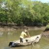 Shrimps-Farmer in den küstennahen Wäldern auf der Halbinsel Nicoya in Costa Rica: Über Kanäle leiten sie Meerwasser in Teiche, in denen die Garnelen aufwachsen.