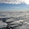 Es wird immer wärmer: Das Jahr 2016 bricht aller Wahrscheinlichkeit nach erneut weltweite Temperaturrekorde. Dadurch schrumpft auch das Eis in der Antarktis.