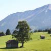 Ruhe auf der Alm: Der BR wird keine weiteren Heimatkrimis produzieren.