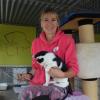 Seit rund einem Jahr ist Sabine Ehnle die Tierheimleiterin in Höchstädt. Auf ihrem Arm hält sie Joy – eine von derzeit mehr als 50 Katzen, die in der Landkreis-Einrichtung untergebracht sind. Damit ist das Tierheim an seine Kapazitätsgrenze gestoßen. 