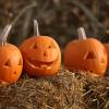 Hallowee: Der Ursprung dieses heute ziemlich kommerziellen Festes liegt gut 2500 Jahre zurück.