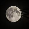 Der Mond kam in der Nacht auf Montag der Erde am nächsten. Experten bezeichnen das Phänomen daher als Supermond oder Perigäum.