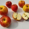 Idared-Apfel: Die Endsilbe „red“ deutet auf die Rotfärbung hin.