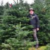 Josef Kränzle gehört der Gundelfinger Christbaumstadel. Auf seiner Plantage züchtet er liebevoll Tausende Weihnachtsbäume.
