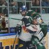 „Wir sortieren die Kandidaten. Aber wir wollen uns nicht unter Druck setzen“Zur Neuauflage des DEL-Halbfinales zwischen den Augsburger Panthern (rechts Adam Payerl) und dem EHC Red Bull München (Verteidiger Yannic Seidenberg) kommt es zum DEL-Auftakt am 13. September in Augsburg. 	