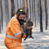 Wildtierretter Simon Adamczyk trägt einen Koala aus einem brennenden Wald auf Kangaroo Island, Australiens drittgrößter Insel.