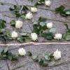 In Gedenken an die Opfer des Terroranschlags am Berliner Breitscheidplatz vor einem Jahr: Weiße Rosen neben dem Mahnmal - einem etwa 17 Meter langen, goldenen Riss im Boden.
