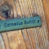 Das Namensschild von Cornelius Gurlitt an der Tür zum Haus von Gurlitt in Salzburg zu sehen. In der Münchner Wohnung des Kunstsammlers Cornelius Gurlitt wurden 2012 bis zu 1400 verschollene Werke der Klassischen Moderne und des 20. Jahrhunderts sichergestellt. Ein Teil könnte NS-Raubgut sein, ein anderer von den Nazis «Entartete Kunst» genannte Gemälde.