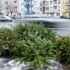 Eine Möglichkeit, den Weihnachtsbaum zu entsorgen: Ihn vor die Haustür legen. In vielen Städten holen ihn dort zu bestimmten Terminen die Müllentsorger ab.