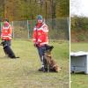 Den ersten Schritt auf dem Weg zum Rettungshundeteam haben in Ichenhausen alle geschafft.