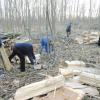 Erfolgt im Rechtlerwald der Holzeinschlag, müssen auch die Frauen mit Hand anlegen. 