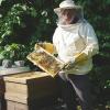 Verotec-Mitarbeiter Ralph Reiwe betreut in seiner fränkischen Heimat einen Imkerverein mit Zeidlermuseum – seine Bienen fühlen sich auch auf dem Firmengelände in Lauingen wohl. 	