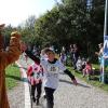 Bei bestem Wetter starteten am Sonntag viele kleine und große Läufer beim Meringer Marktlauf des TVM.