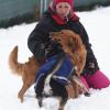 Melly Böhm führt seit fünf Jahren eine Hundeschule. Auch sie spürt den Hunde-Boom.