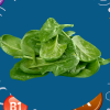 Spinat hält sich im Folienbeutel 1 bis 2 Tage im Kühlschrank.